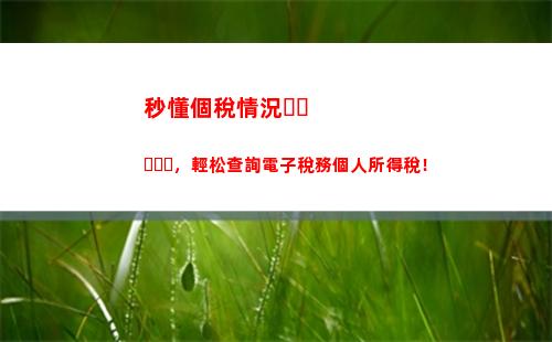 怎么得個人所得稅(手機上怎么查詢個人所得稅)